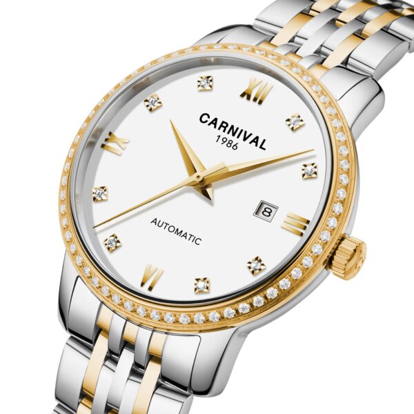 Fashion Automatic Watch Women Luxury Brand CARNIVAL 2019 Womens mechanical watch Waterproof Sapphire Date Stainless Steel Strap